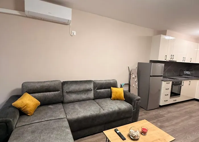 Danny Welcomes Apartment *